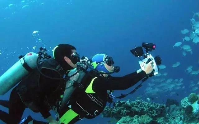 探索在家里给排骨焯水之后肉质为什么更腥更柴了?,知识星球助你一臂之力