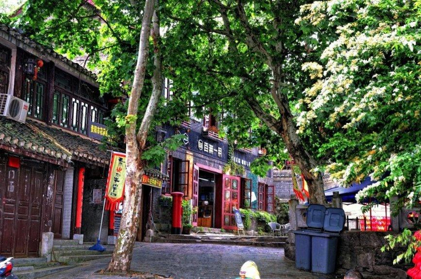 解救可爱的鸭子