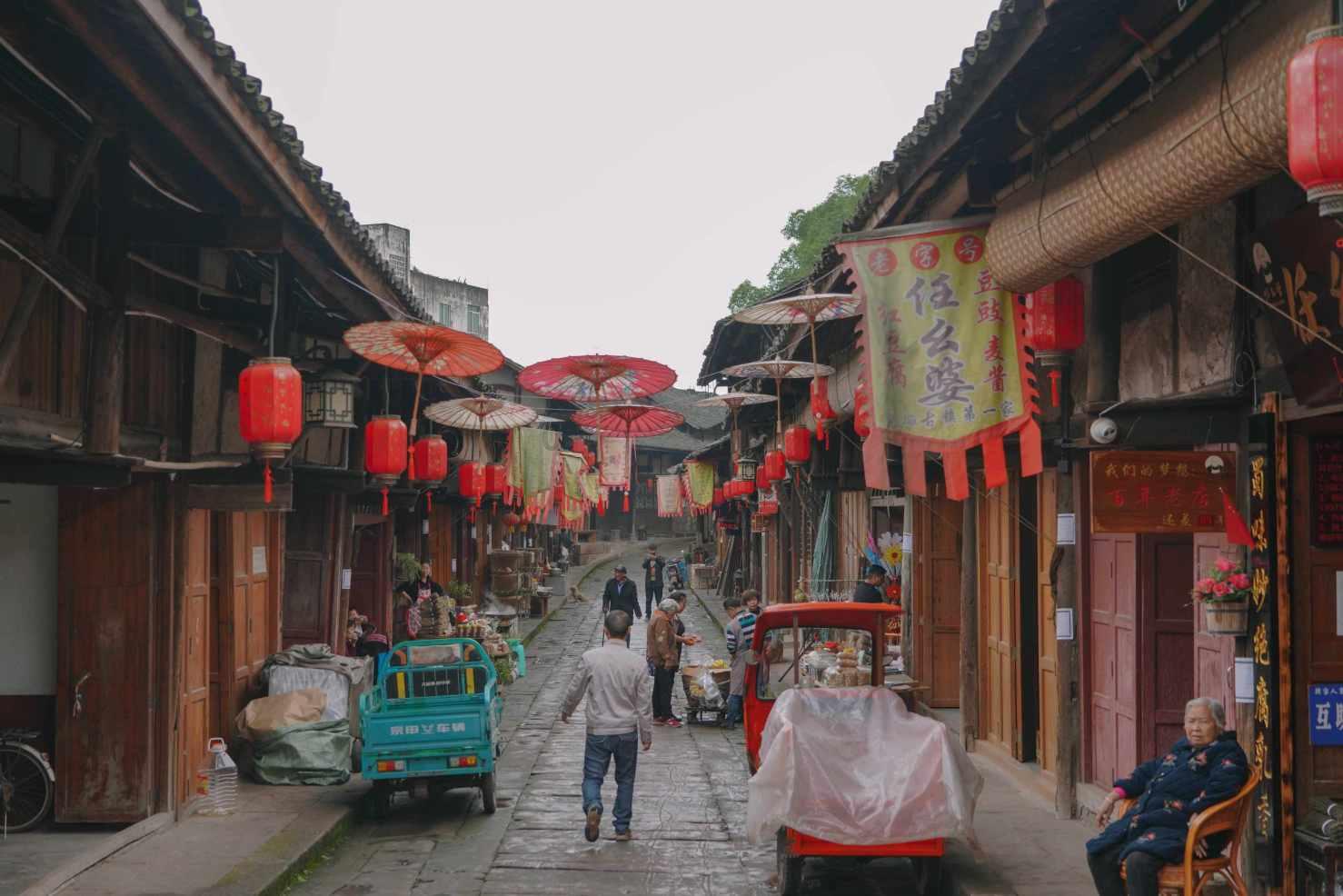 救援卷耳兔